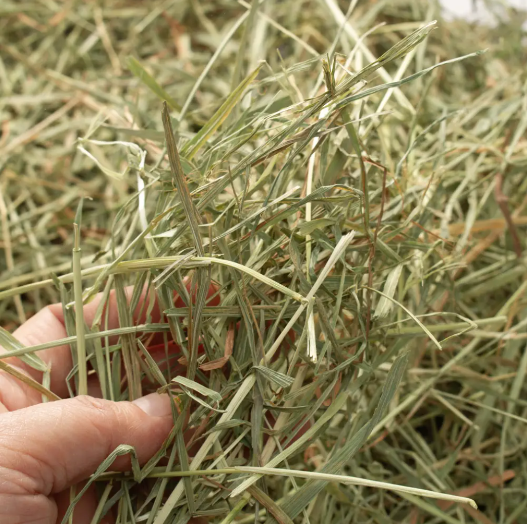 Leafcorp 2025 Harvest Super Premium Horse Timothy Hay, Soft Type 600g