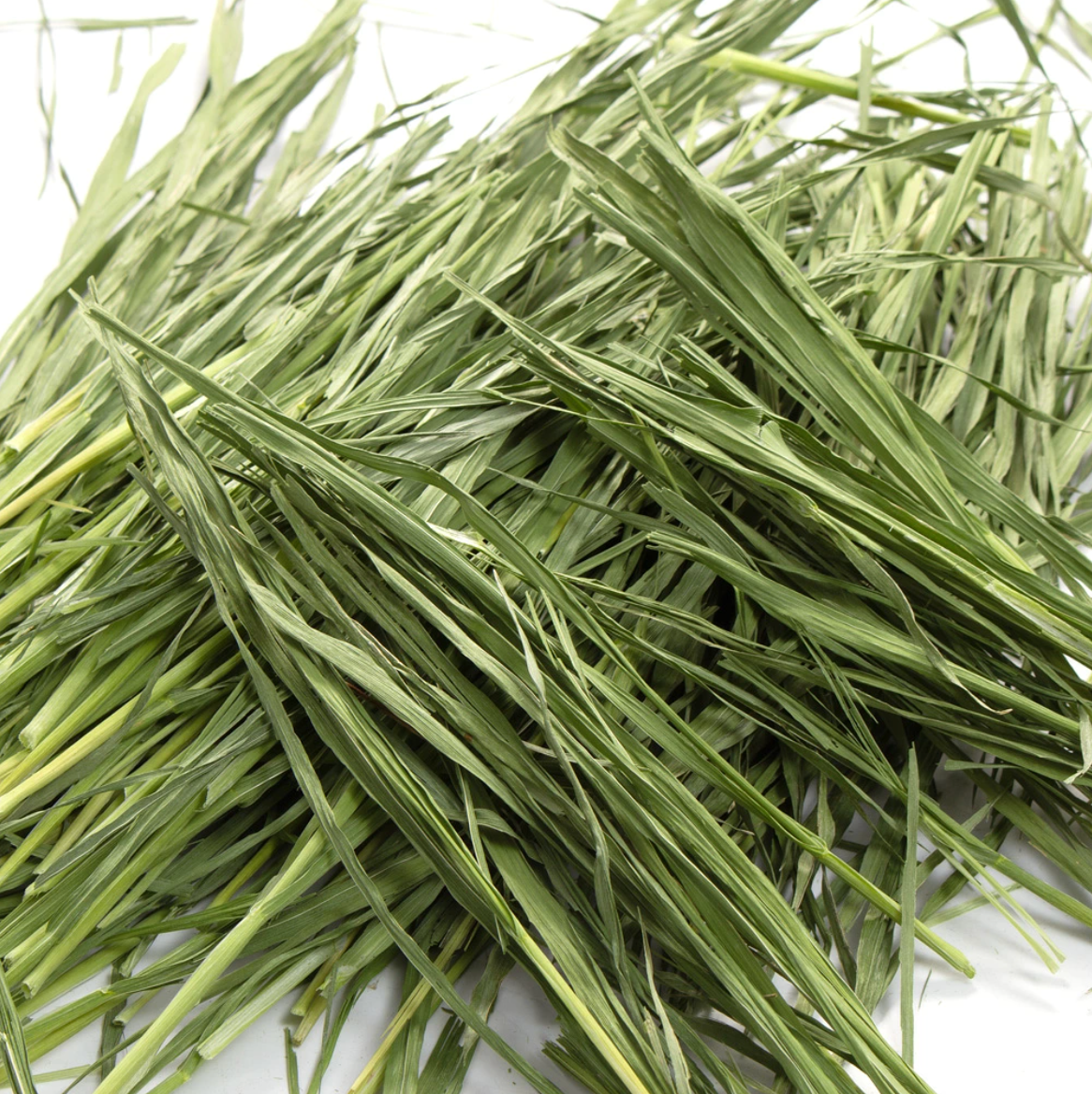 Leafcorp Stemless Oat Hay 全叶款燕麦草
