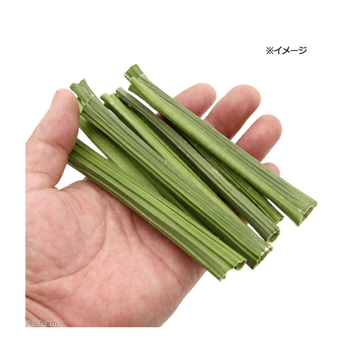 Leafcorp Japan Papaya Stems