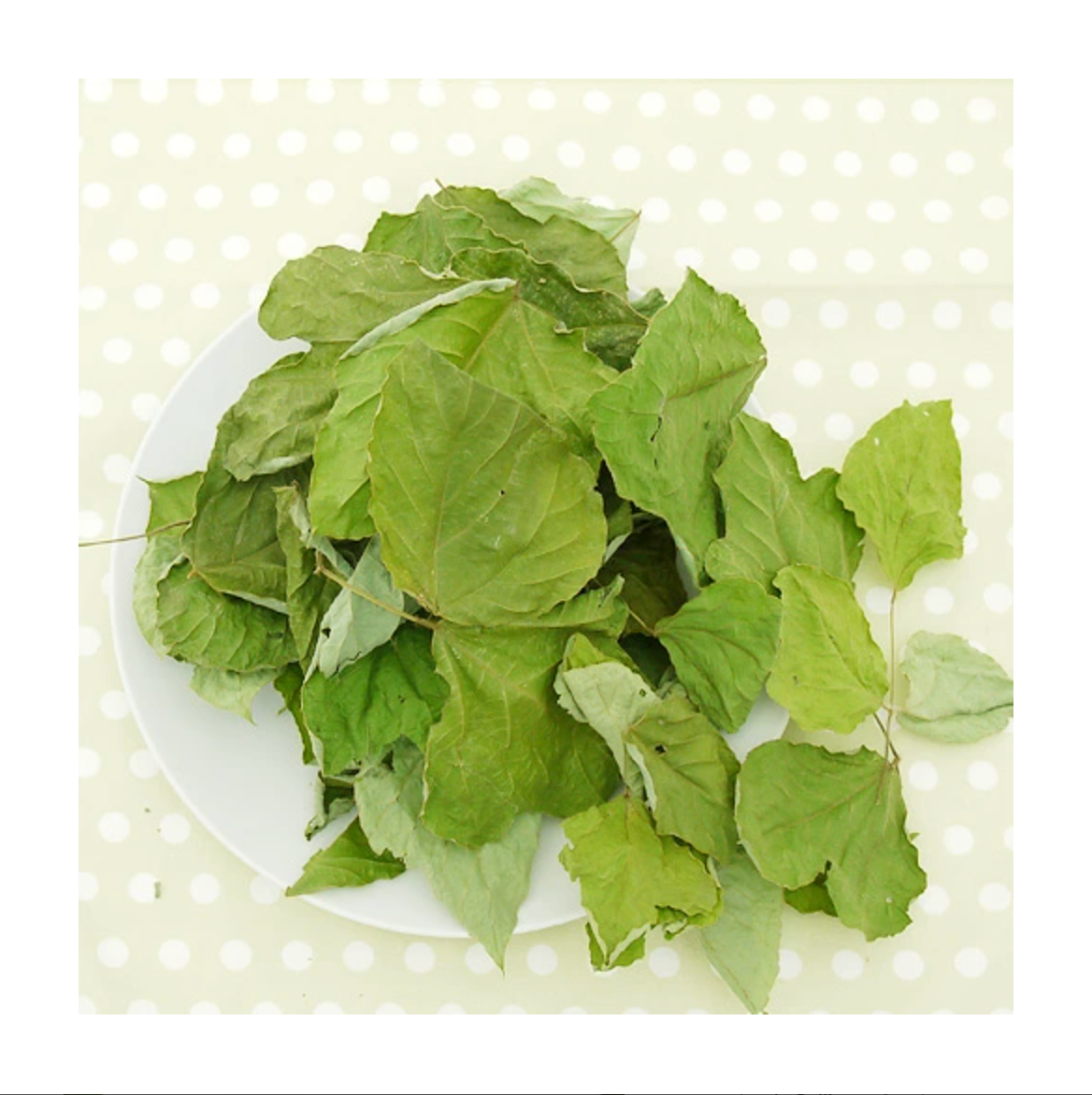 Leafcorp Dried Kudzu Leaves