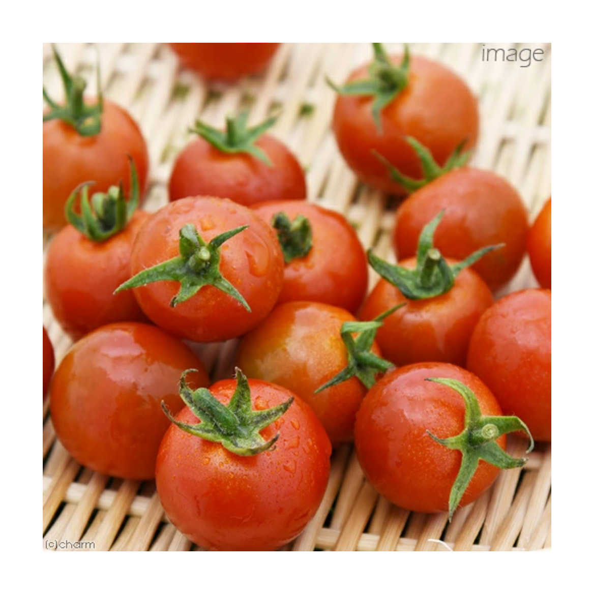 Leafcorp Cherry Tomato