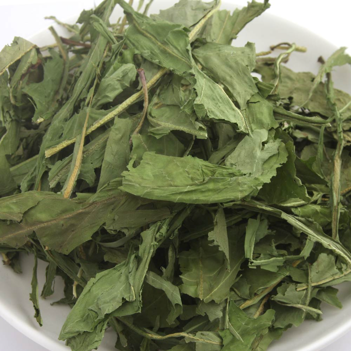 Leafcorp Nagano Highland Dandelion