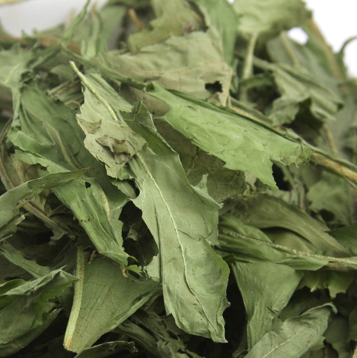 Leafcorp Nagano Highland Dandelion