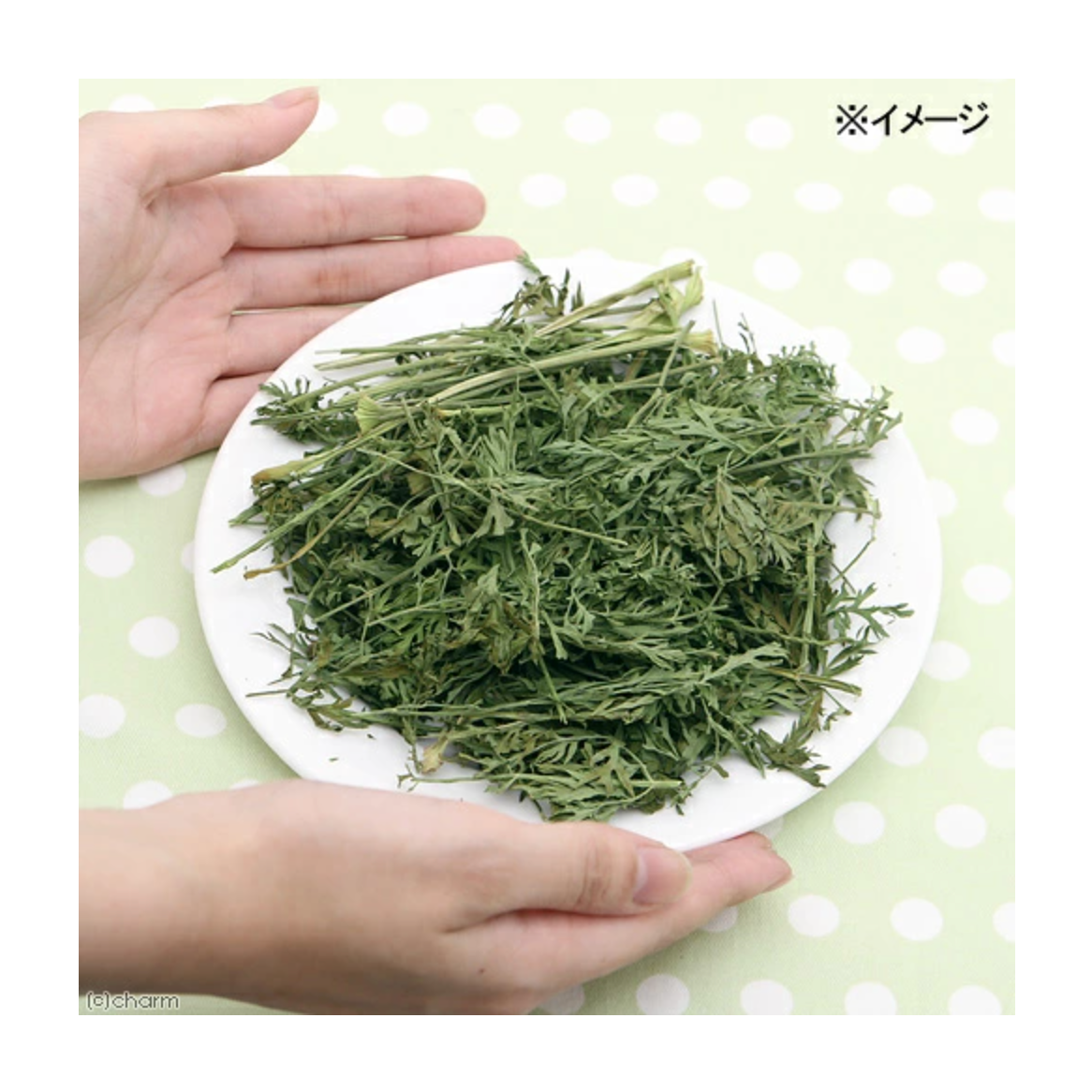 Leafcorp Japan Carrot Tops 埼玉县胡萝卜缨