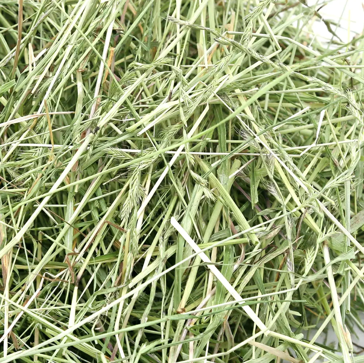 Leafcorp Green Harvest Italian Rye