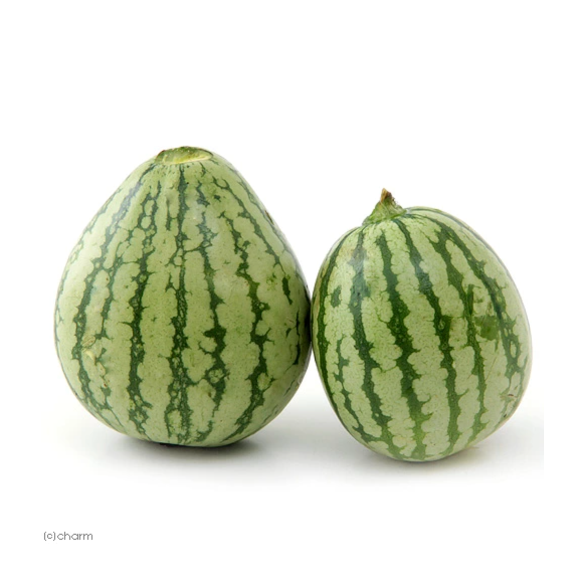 Leafcorp Dried Uonuma Mini Watermelon