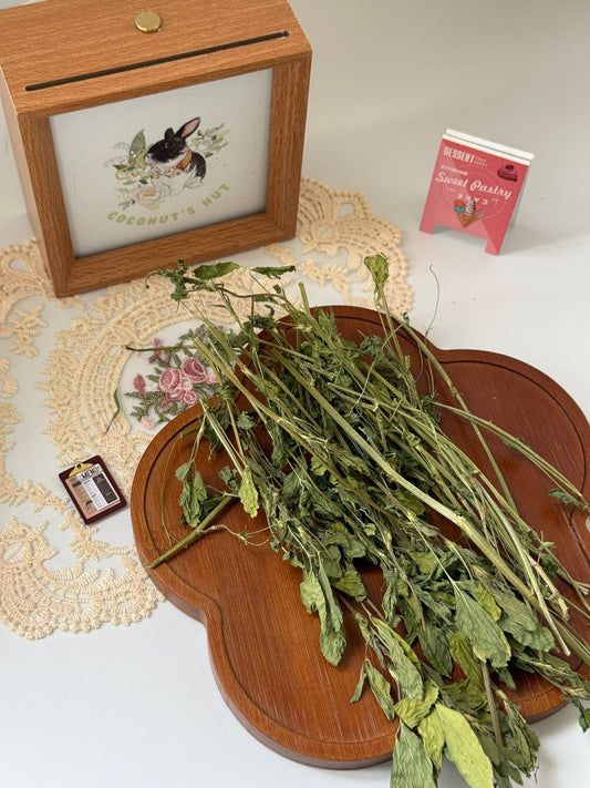 Coconut's Hut Alfafa Hay 200g