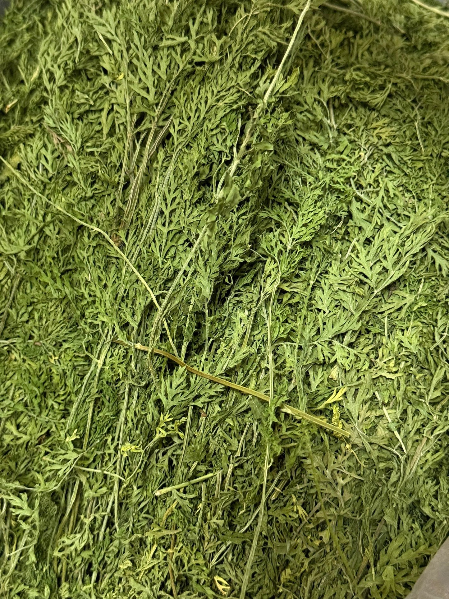 Coconut's Hut Carrot Top 250g