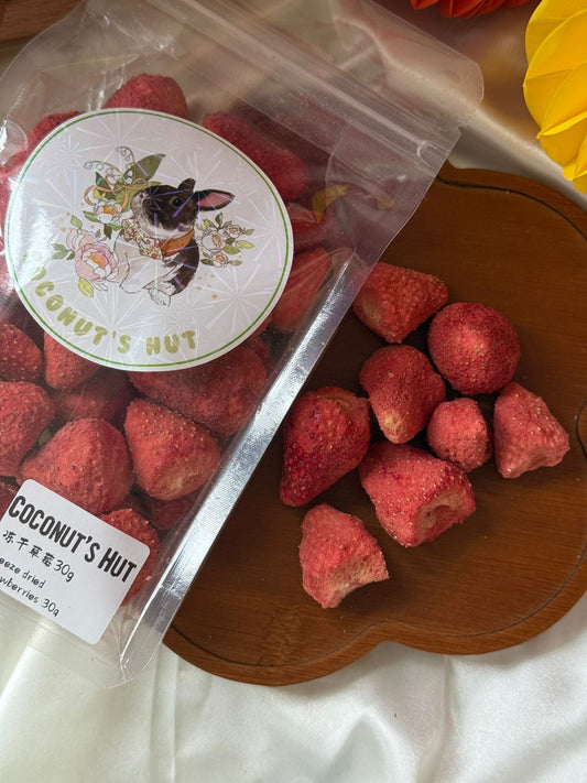 Coconut's Hut Freeze Dried Fruits (Assorted)