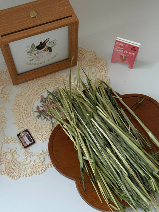 Coconut's Hut Premium Oat Hay 250g