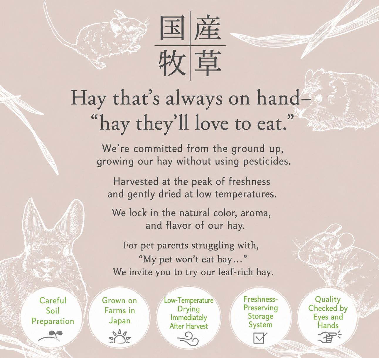 Leafcorp Stemless Oat Hay 全叶款燕麦草
