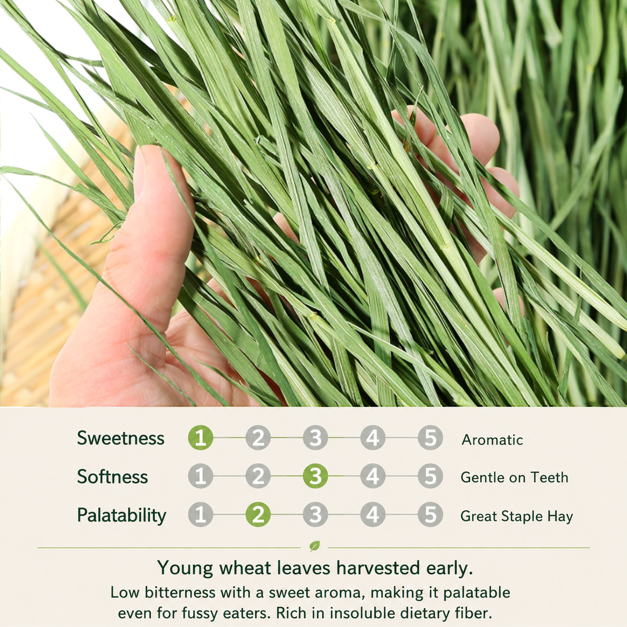 Leafcorp Addictive Wheat Hay 小麦草