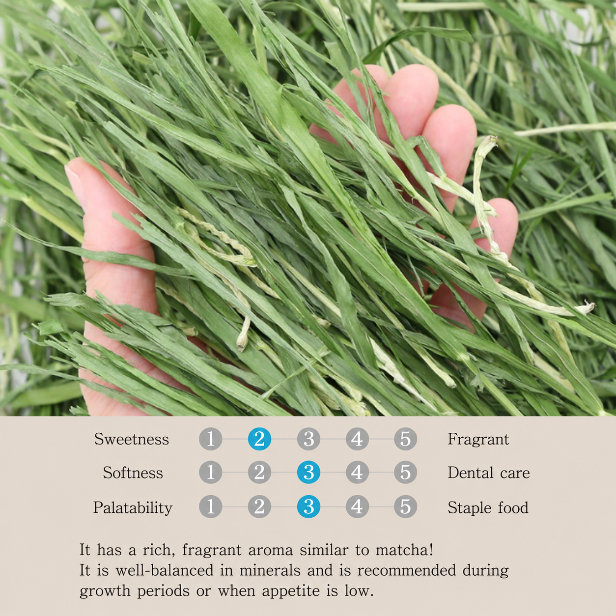 Leafcorp Addictive Young Barley Hay 大麦草