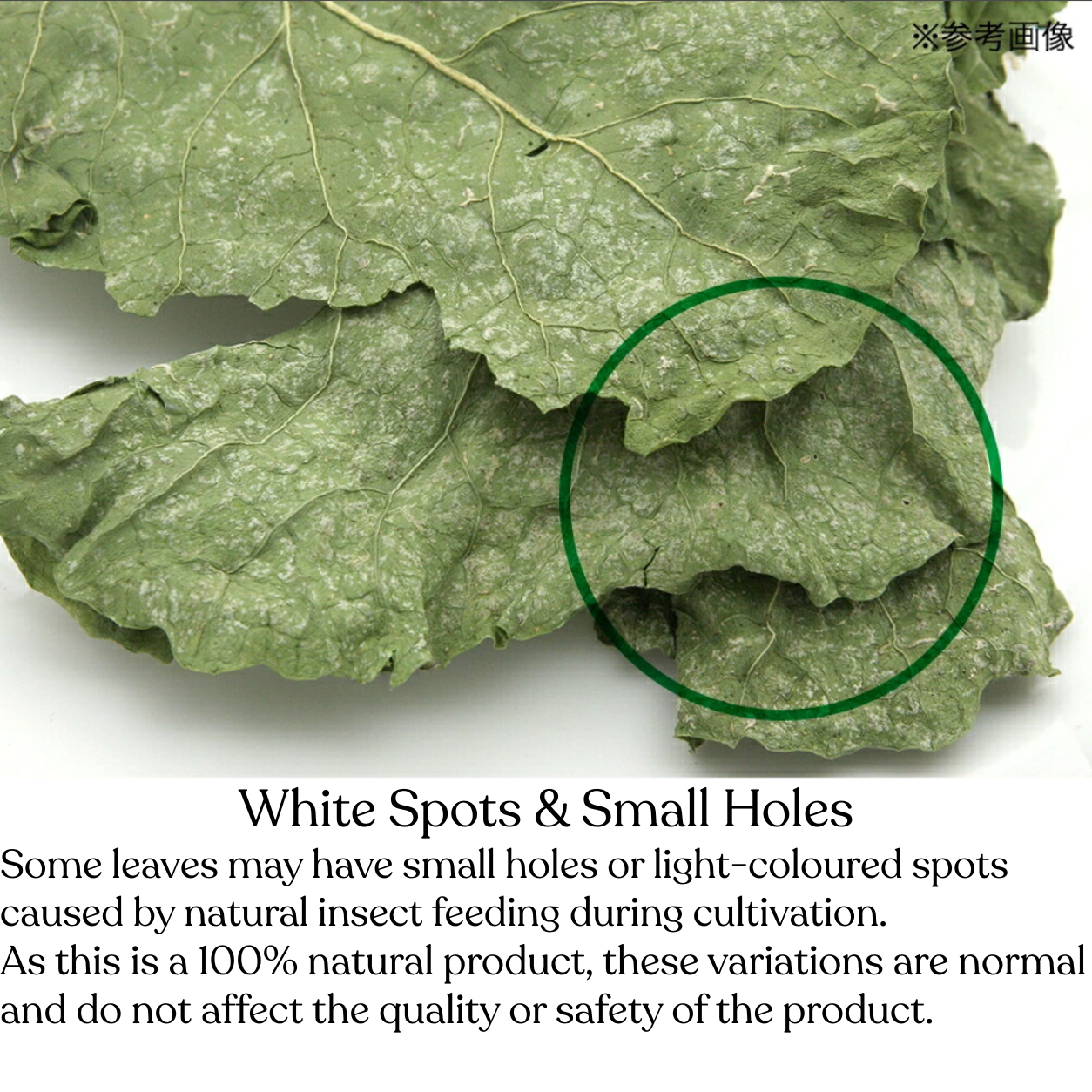 Leafcorp Brocoli Leaves