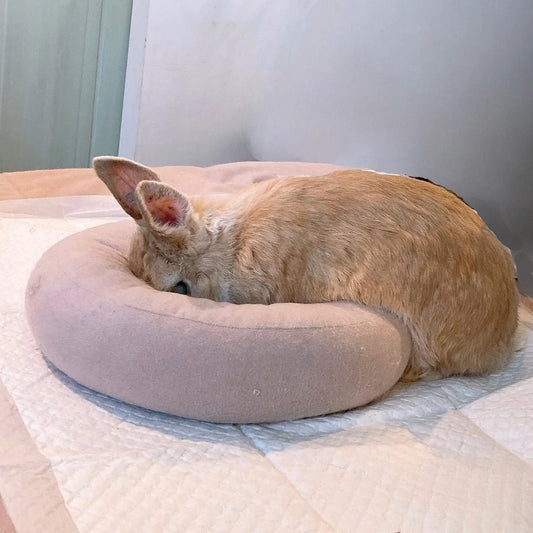 Plus Small Pet Support Donut Cushion