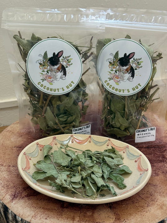 Coconut's Hut Peanut Plant 20g