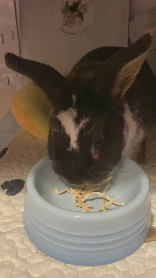 Coconut's Hut Papaya Shredded Strips