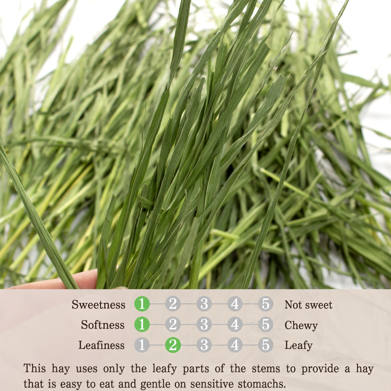 Leafcorp Stemless Oat Hay 全叶款燕麦草